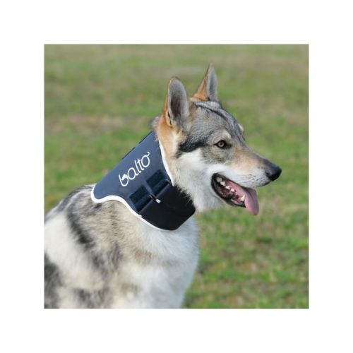 Balto orthopädisches Halsband für Hunde und Katzen balto-obroza-ortopedyczna-dla-psa-i-kota (2).jpg
