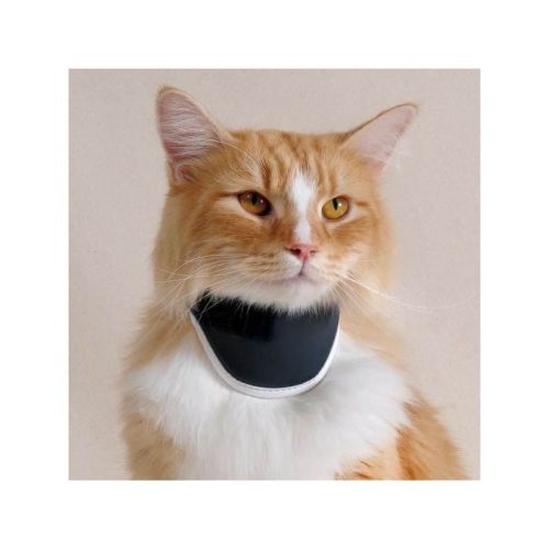 Balto orthopädisches Halsband für Hunde und Katzen balto-obroza-ortopedyczna-dla-psa-i-kota (1).jpg