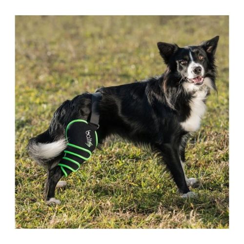 Linker Sportprotektor für aktive Hunde Balto balto-nakolanniki-do-uprawiania-sportu (1).jpg