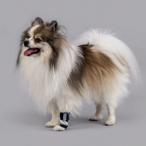 Balto Hundepfotenorthese balto-komfortowa-orteza-dla-psa (3).jpg