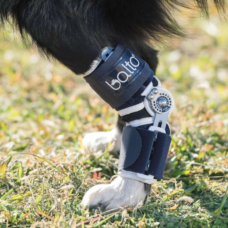 Flexor Balto verstellbarer Knöchelstabilisator