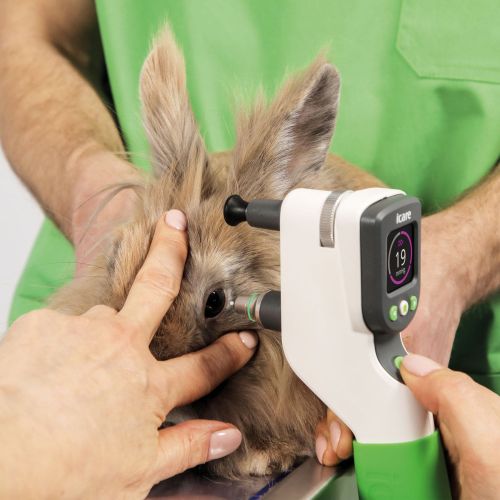 Tierärztliches Tonometer iCare TONOVET Pro 173625_Anwendung4.jpg