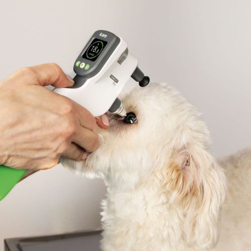 Tierärztliches Tonometer iCare TONOVET Pro 173625_Anwendung3.jpg