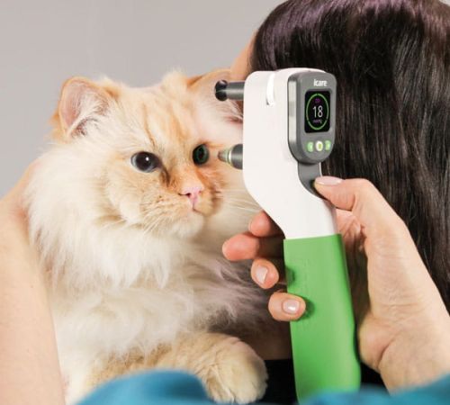 Tierärztliches Tonometer iCare TONOVET Pro 173625_Anwendung.jpg
