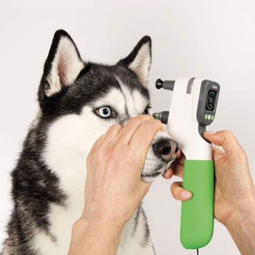 Tierärztliches Tonometer iCare TONOVET Pro 173625_Anwendung2 (1).jpg