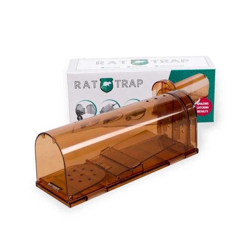 Transparente Rattenfalle mit einem Eingang rv24_doos_1280x1280.jpg