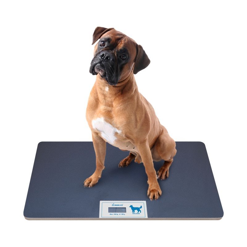 Momert Große Veterinärwaage