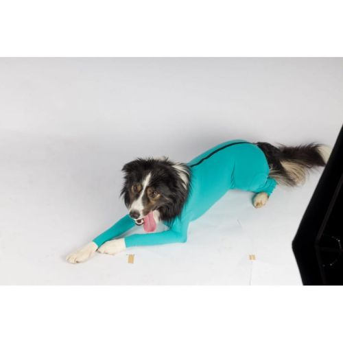 Vetmedcare Ganzkörper-Kleidung für die postoperative Phase vetmedcare-unisex-mutet-utani-ruha-vegtag-vedelemmel (2).jpg