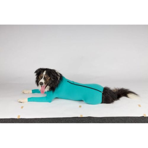 Vetmedcare Ganzkörper-Kleidung für die postoperative Phase vetmedcare-unisex-mutet-utani-ruha-vegtag-vedelemmel.jpg