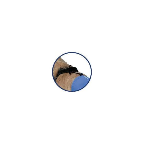 Multifunktionshose für Hunde Vetmedcare vetmedcare-safety-pant-spodnie-ochronne-dla-psa-z-inkontynencja (2).jpg