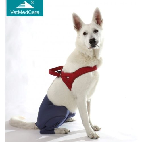 Multifunktionshose für Hunde Vetmedcare vetmedcare-safety-pant-spodnie-ochronne-dla-psa-z-inkontynencja (1).jpg