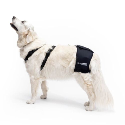 Orthocanis Hüftdysplasie-Stabilisator für Hunde