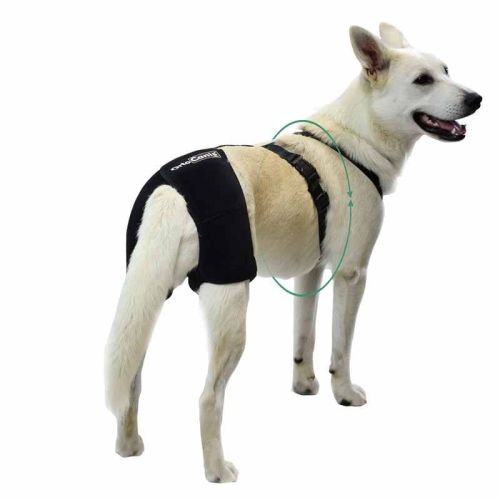 Orthocanis Hüftdysplasie-Stabilisator für Hunde ortocanis-stabilizator-biodra-i-na-dysplazje-u-psa (4).jpg