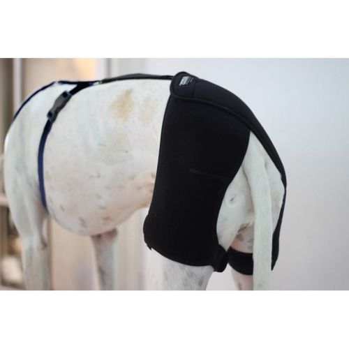 Orthocanis Hüftdysplasie-Stabilisator für Hunde ortocanis-stabilizator-biodra-i-na-dysplazje-u-psa (2).jpg