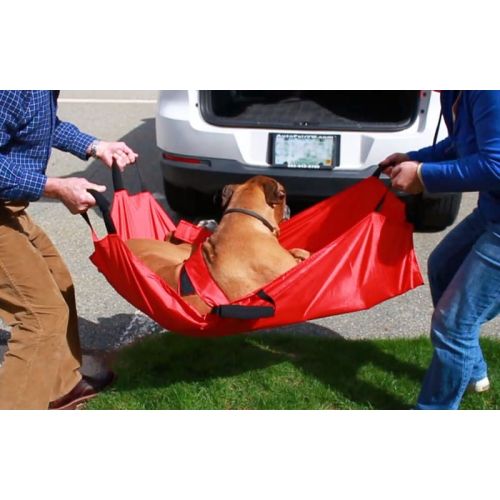 Walkinpets Nylon-Babytrage walkinpets-nosze (2).jpg