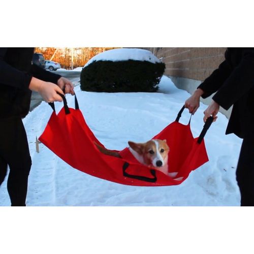 Walkinpets Nylon-Babytrage walkinpets-nosze.jpg