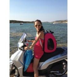 Trolley Innopet Hundekinderwagen mit Griff innopet-trolley-wozek-spacerowy-dla-psa-w-roznych-kolorach (3).jpg