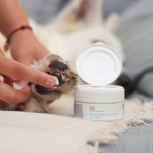 Pfotenschutzsalbe 75 ml VetExpert  vet-expert-paw-protection-masc-ochronna-do-lap-dla-psow-i-kotow-75-ml (1).jpg