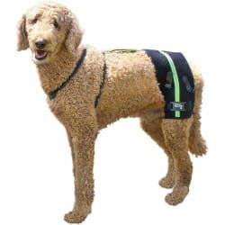 Walkinpets Hüftstützsystem