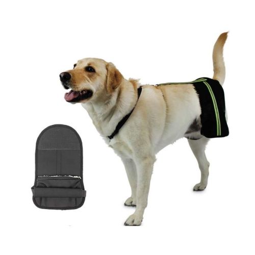 Walkinpets Hüftstützsystem walkinpets-hip-eez-system-wsparcia-dla-psa.jpg