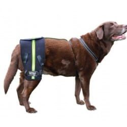 Walkinpets Hüftstützsystem walkinpets-hip-eez-system-wsparcia-dla-psa (3).jpg