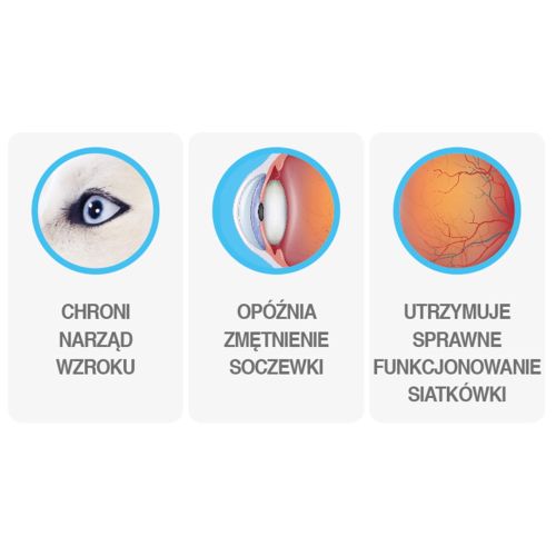 VITAZIUM Sehhilfe 40 Stück Eurowet WYZIUM wspomaganie wzroku 40 szt Eurowet-3.jpg
