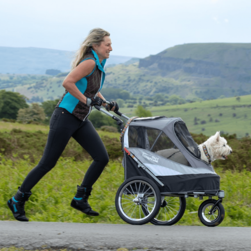 Sportlicher Anhänger Hundetrage Innopet innopet-sporty-trailer-przyczepa-rowerowa-dla-psow (1).jpg