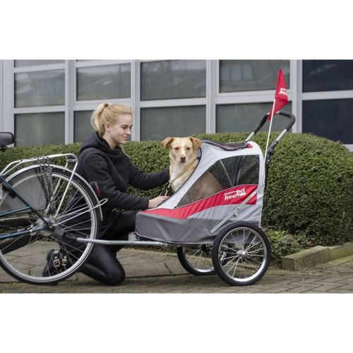 Sportlicher Anhänger Hundetrage Innopet innopet-sporty-trailer-przyczepa-rowerowa-dla-psow (3).jpg