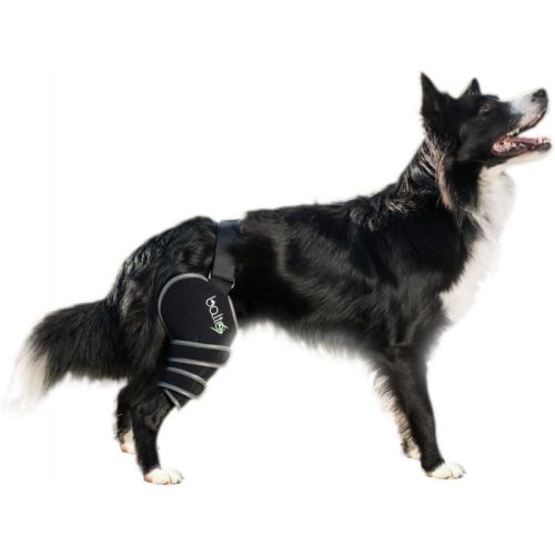 Linker Sportprotektor für aktive Hunde Balto balto-nakolanniki-do-uprawiania-sportu.jpg