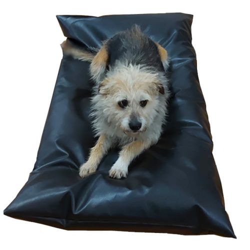 Hunde- oder Katzenbett Eco-Leder materac bez uszu.jpg
