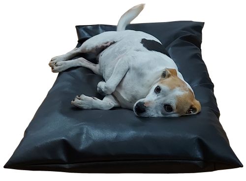 Hunde- oder Katzenbett Eco-Leder materac z kulkami .jpg