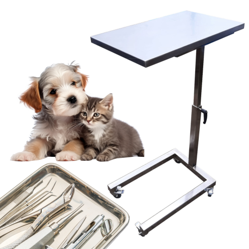 Arzthelferin kleiner Instrumententisch 35 x 55cm STOLIK K-532 ALLEGRO1.png