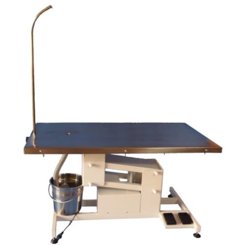 Elektrischer Tierarzttisch mit Matratze 1000x1000 872e.jpg