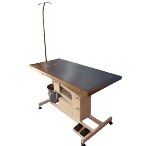 Elektrischer Tierarzttisch mit Matratze 1000x1000 FT-872e.jpg