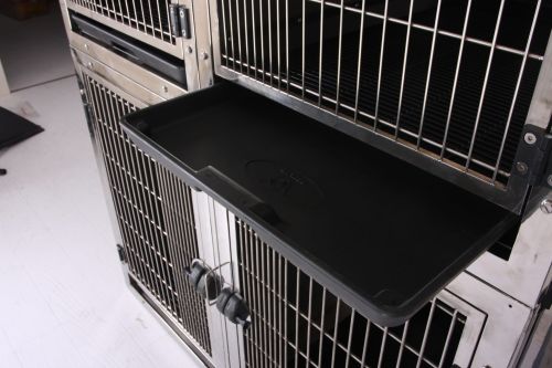 Tierärztlicher Käfigsatz mit Sockel aus 304 Stahl WeChat Image_20190116150202.jpg