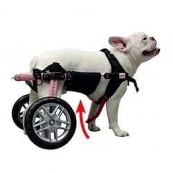 Walkinpets Neoprengürtel für Hundekinderwagen walkinpets-neopren-belly-belts-ham-kutyakocsihoz (2).jpg