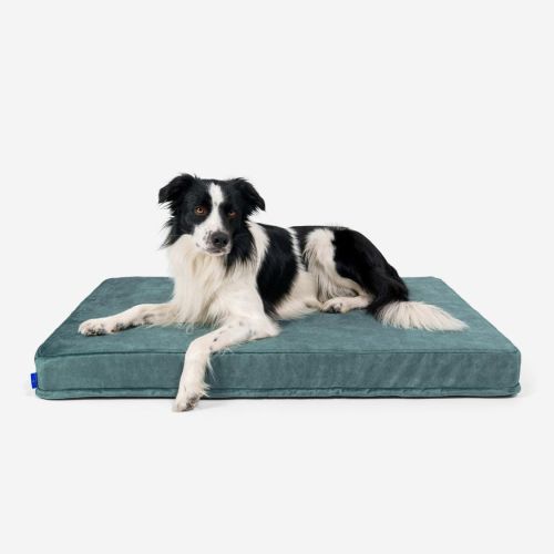 Petformed® M orthopädische Matratze für Hunde Materac-Petformed-Zielony-4.jpg