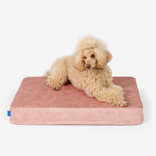 Petformed® XL orthopädische Matratze für Hunde Materac-Petformed-Rozowy-4.jpg