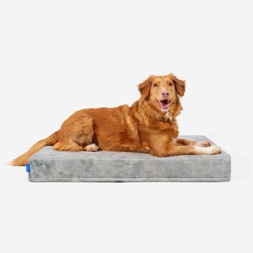 Petformed® XL orthopädische Matratze für Hunde Materac-Petformed-Szary-4.jpg