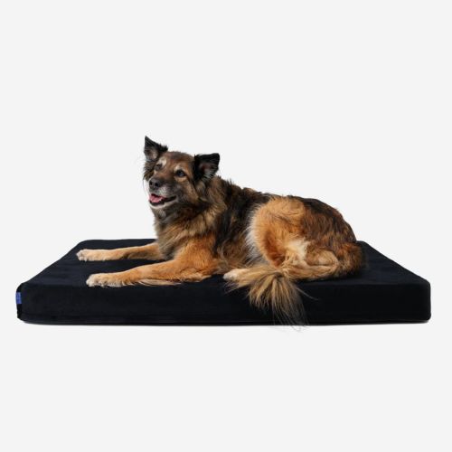 Petformed® XL orthopädische Matratze für Hunde Materac-Petformed-Czarny-4.jpg