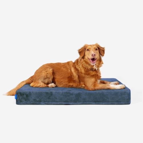 Petformed® XXL orthopädische Matratze für Hunde Materac-Petformed-Niebieski-4.jpg