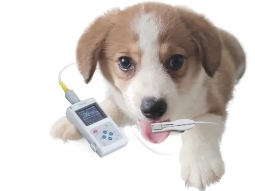 Veterinär-Pulsoximeter OXY-50 GIMA 80800_a.webp
