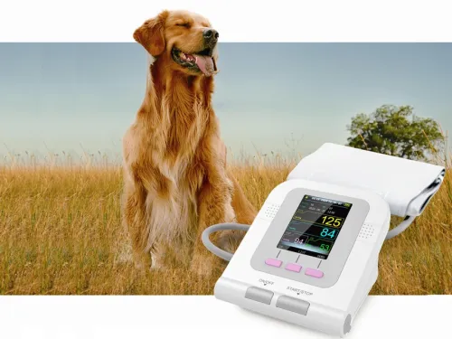 Elektrisches Blutdruckmessgerät von Gima Veterinary 80550_c.webp