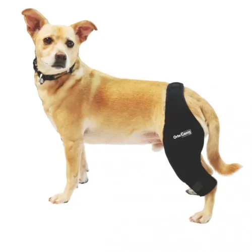 Linke Knieorthese mit Ortocanis-Schiene