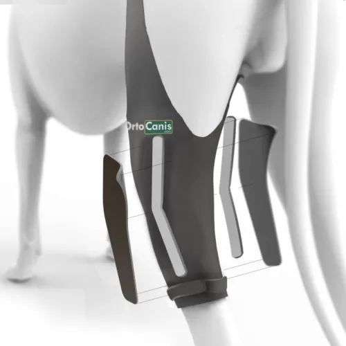 Rechte Knieorthese mit Ortocanis-Schiene ortocanis-orteza-stawu-kolanowego-z-szyna-dla-psa (2).webp